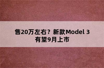 售20万左右？新款Model 3有望9月上市